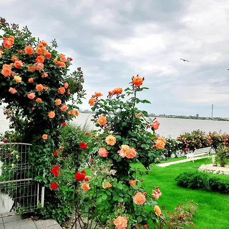 Проживание в семье Lakeviewhouse *